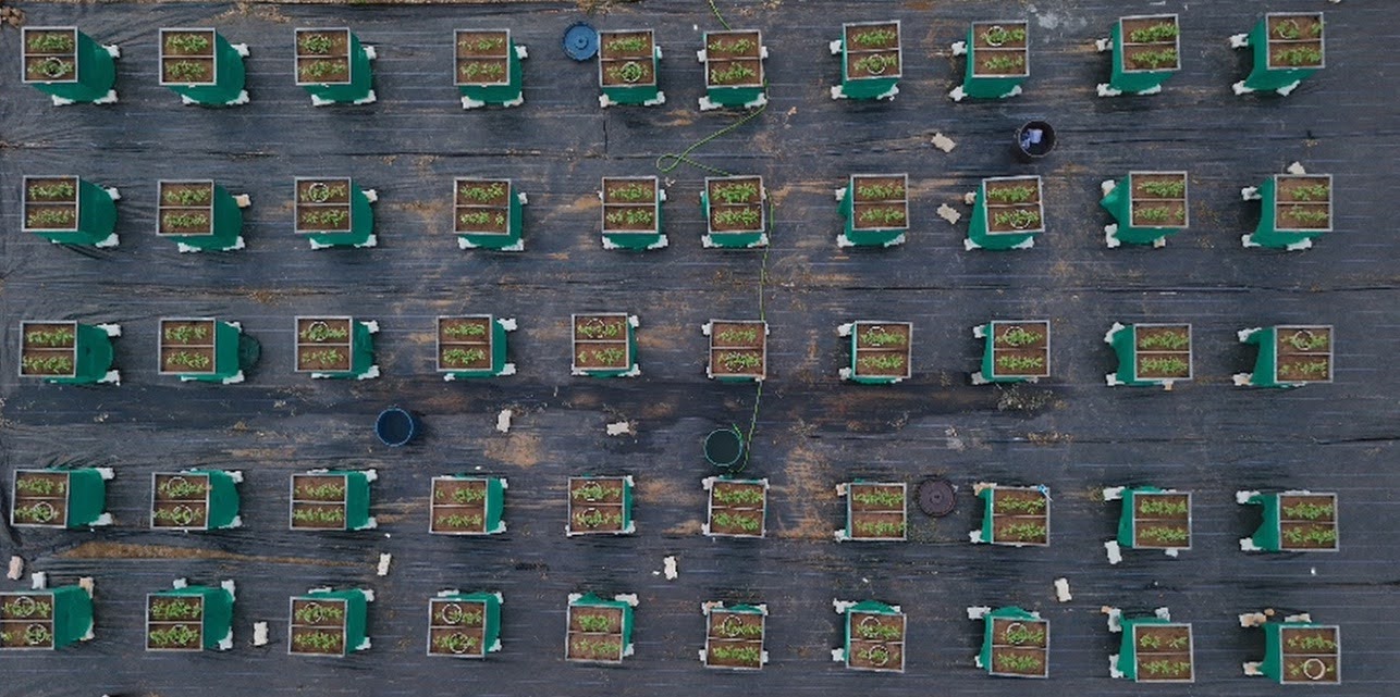 arial-view-1