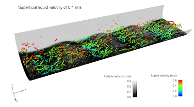 Dune formation and vortical structures in liquid-solid pipe flow